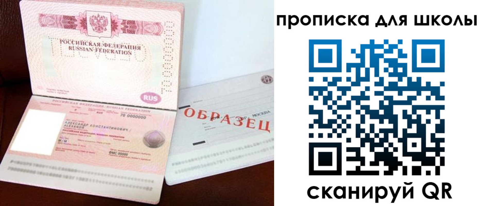 прописка для школы в Куртамыше